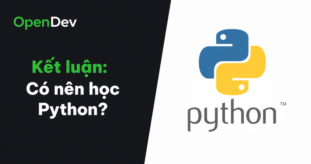 Kết luận: Có nên học Python?