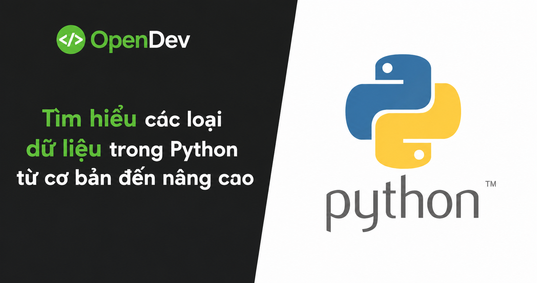 Tìm hiểu các loại dữ liệu trong Python từ cơ bản đến nâng cao