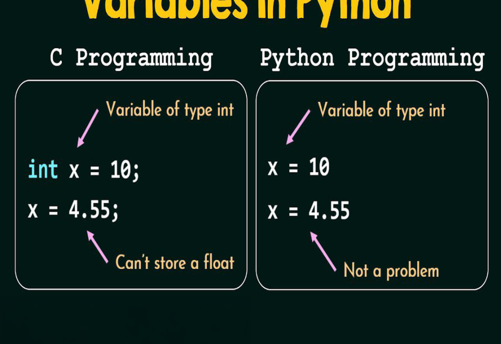 Biến trong Python