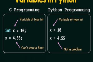 Biến trong Python