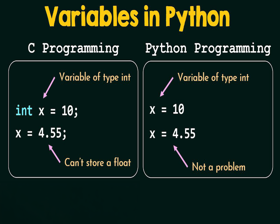 Biến trong Python