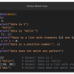 python match case