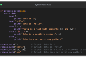 python match case
